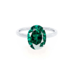 A Ring That Speaks in the Language of Shared Dreams